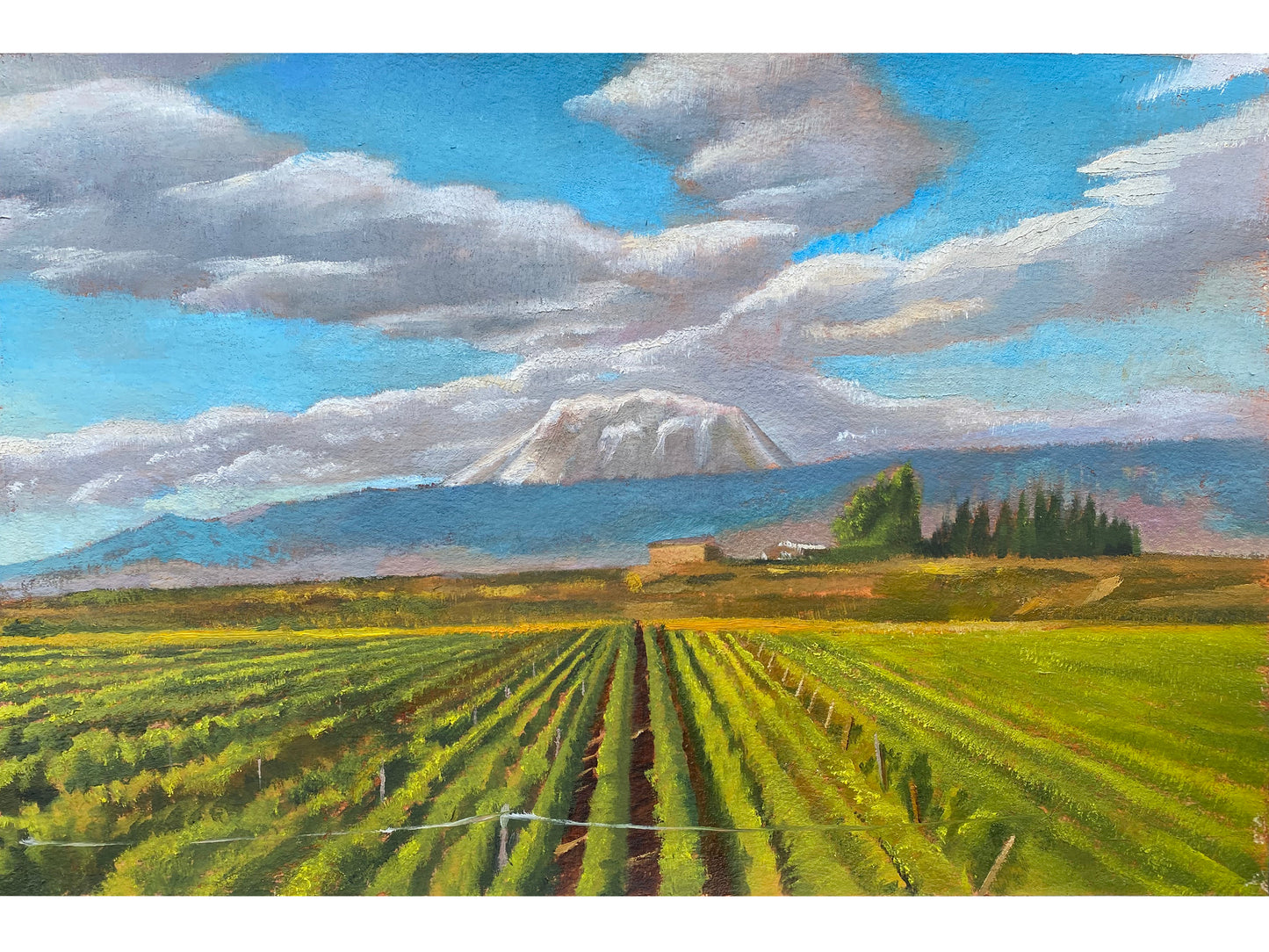 Rainier Reverie